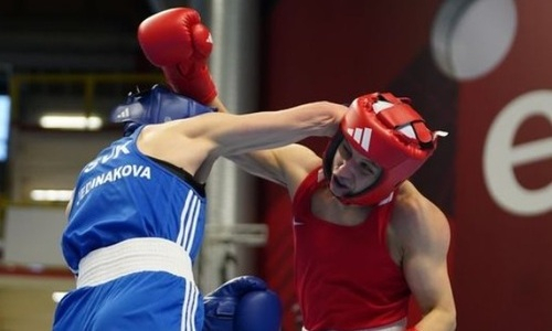 В Италии разоблачили беспредел в отношении Казахстана на олимпийском отборе по боксу