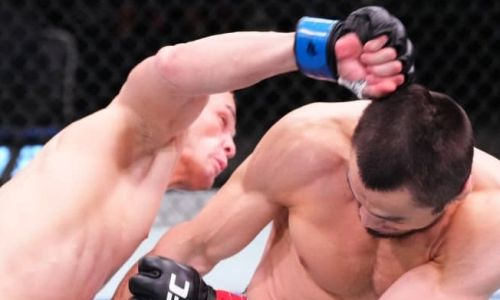 Нурмагомедова оправдали за бой с дебютантом UFC из Казахстана