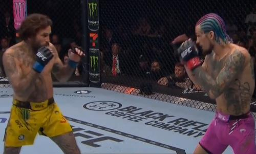 Видео полного боя Шон О’Мэлли — Марлон Вера с разгромом на UFC 299