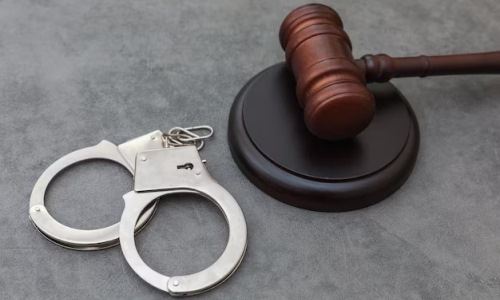 Тренеры в Казахстане после кражи миллионами остались на свободе