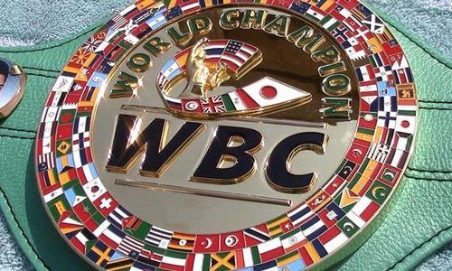 WBC назначил бой за звание «абсолюта»