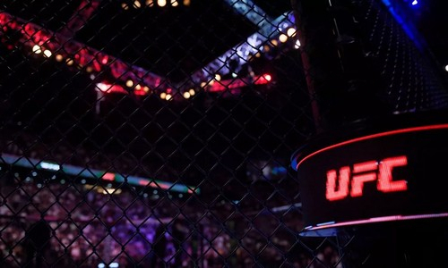 Громкий бой Россия — Украина состоится в UFC