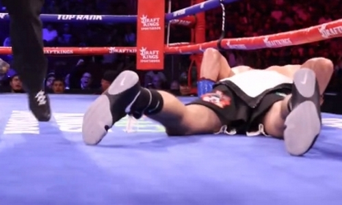 Бой непобежденного боксера завершился зрелищным нокаутом. Видео