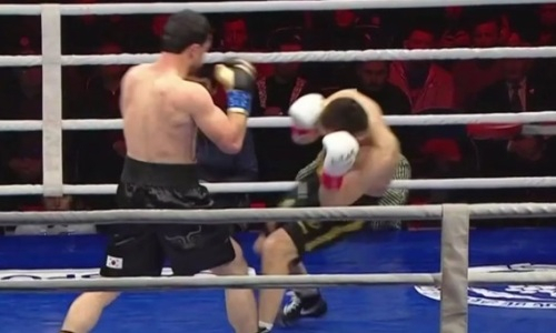 Казахстанский боксер встал после двух нокдаунов и победил узбекистанца