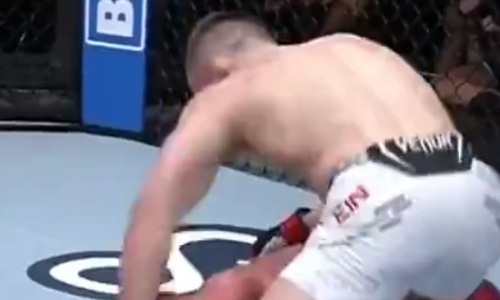 Брутальным нокаутом «Дикаря» завершился бой турнира UFC с участием казахстанца. Видео