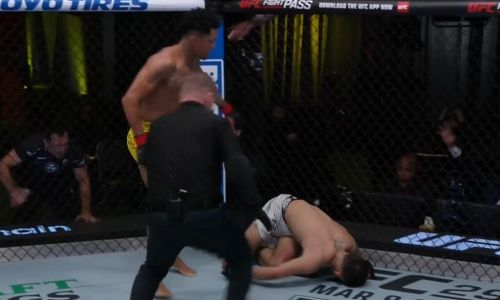 Безумный нокаут зафиксирован в UFC перед боем казахстанца. Видео