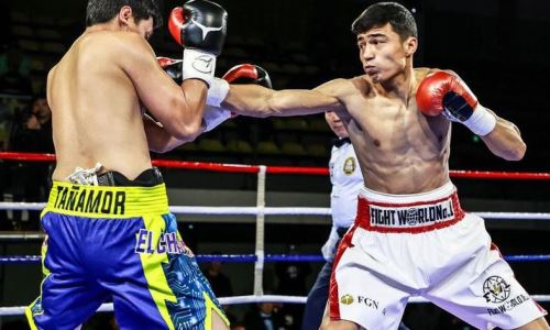 Узбекистанский боксер дважды отправил в нокдаун и нокаутировал соперника в первом раунде боя за титул WBA. Видео