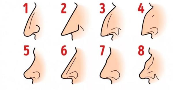Что форма вашего носа говорит о вашей личности