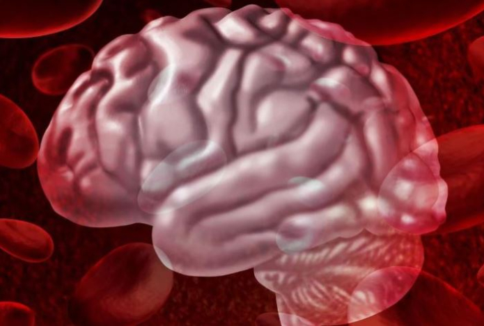 Названы пять напитков для сохранения ясности ума у людей старше 40 лет