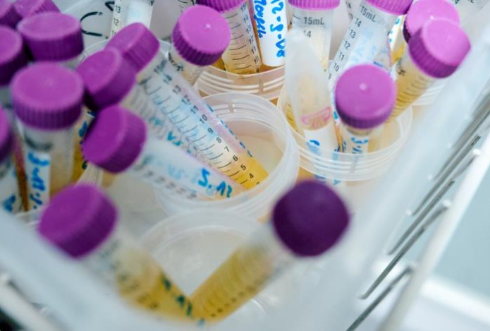 «Величайшая глупость». Елена Малышева раскритиковала популярный способ лечения