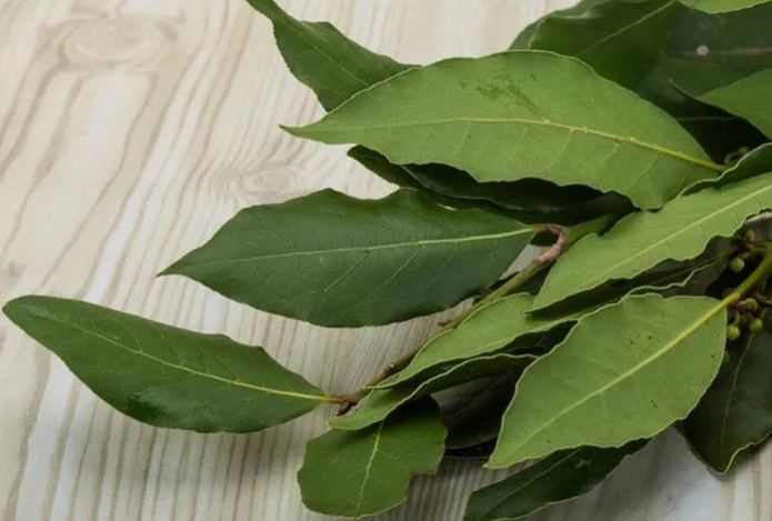 Зачем класть лавровый лист под подушку. Дело не в приметах