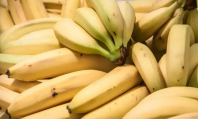 Желтые или зеленые? Какие бананы лучше выбрать и почему