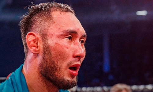 Официально объявлен бой «Казахского гиганта» против звезды кулачки и бокса