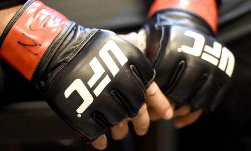 Отменен нашумевший бой Россия — Украина в UFC