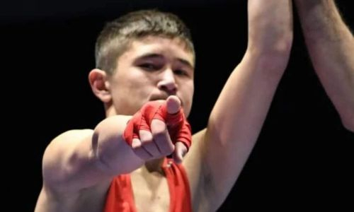 Казахстанский боксер нокаутировал Рамзана Кадырова. Видео