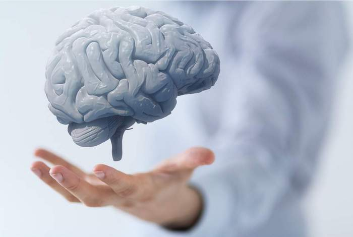 Ученые дали советы, как уберечь мозг от старения и дожить до 100 лет