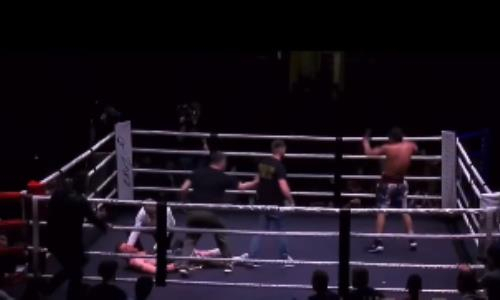 Автора сенсации избили в ринге после тяжелого нокаута непобежденного боксера из России. Видео