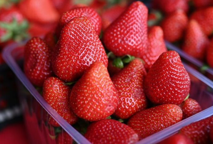 Раскрыто золотое правило при выборе клубники