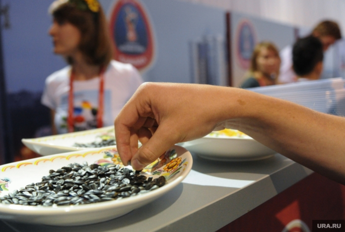 Врач объяснила, почему вредно есть семечки