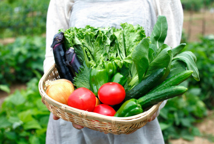 Как проверить овощи и фрукты на нитраты прямо в магазине — пять простых способов 