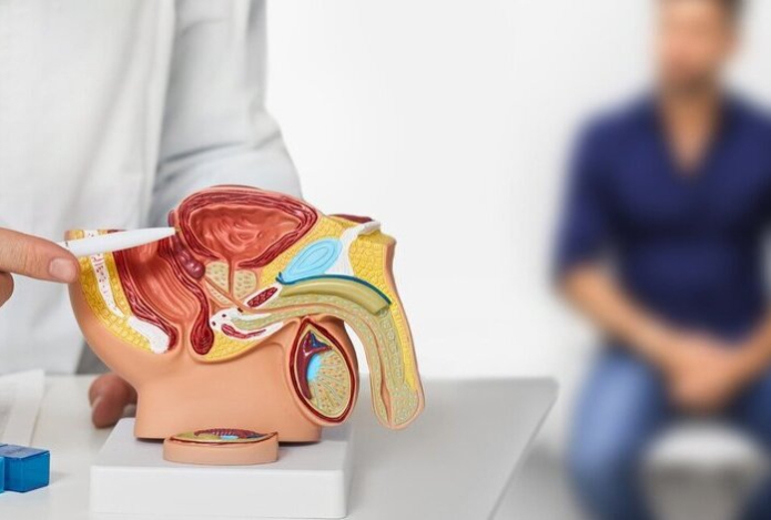 Раскрыто популярное заблуждение о простатите