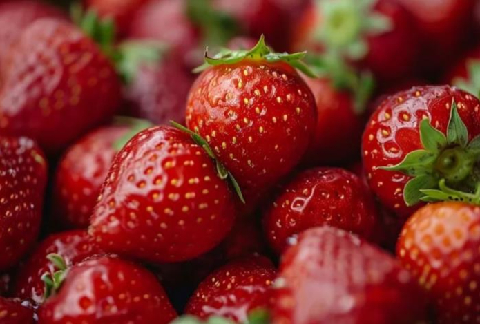 Названа ягода, которую срочно надо есть этой весной. Содержание витаминов и минералов поражает