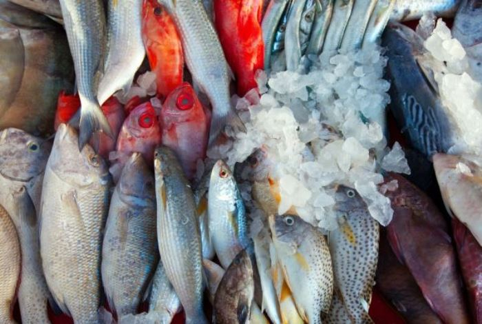 Эксперт назвал опасную для еды рыбу. Она накапливает ртуть и токсичные вещества