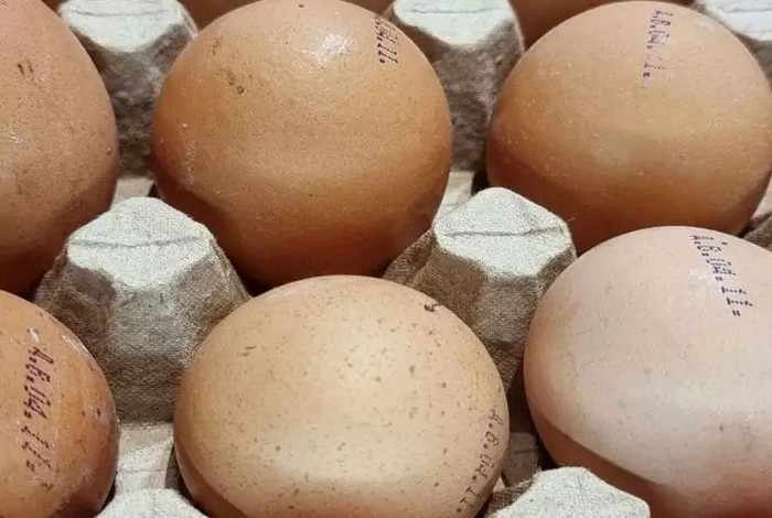 Где лучше всего хранить куриные яйца, чтобы сохранить их свежесть и качество