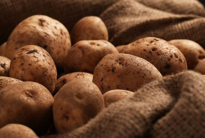 Ученые назвали самый полезный картофель — он снижает давление и вес