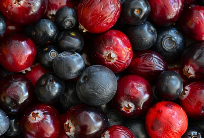 Названы три самые полезные летние ягоды. Они успокаивают воспаления в ЖКТ и укрепляют иммунитет