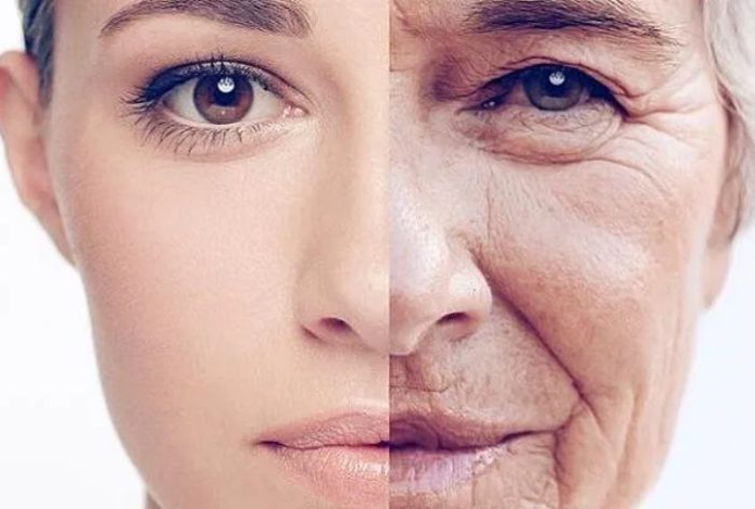 Ученые рассказали, что замедляет старение организма