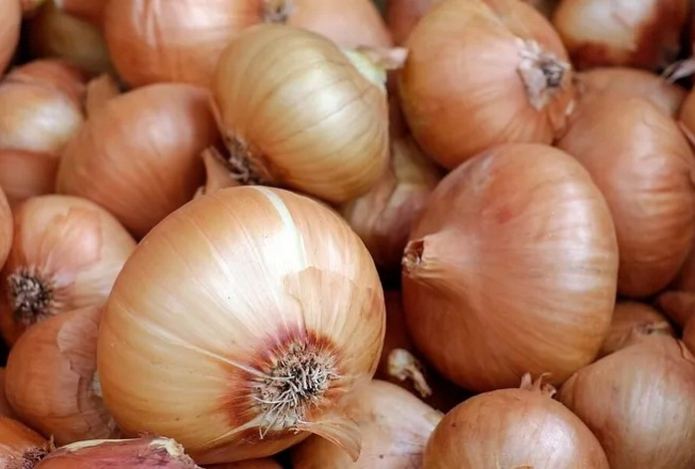 Что будет с организмом, если ежедневно есть лук