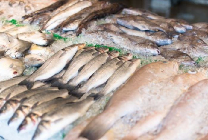 Названа рыба, которую все избегают. Она считается самой грязной в мире