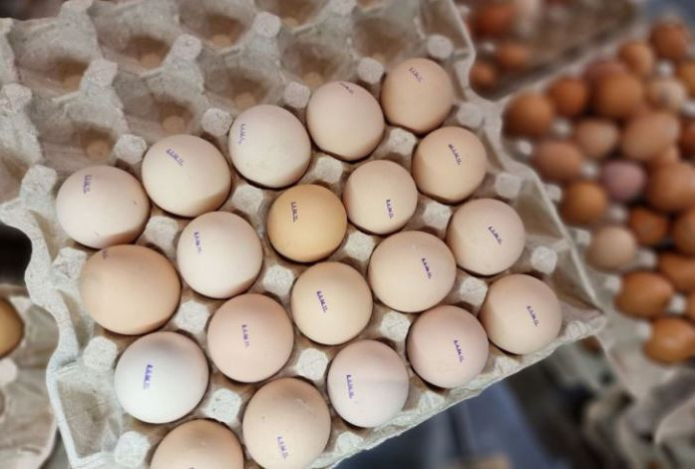 Как выбрать куриные яйца — запомните раз и навсегда