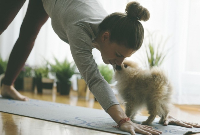 Власти европейской страны запретили проводить тренировки по йоге со щенками