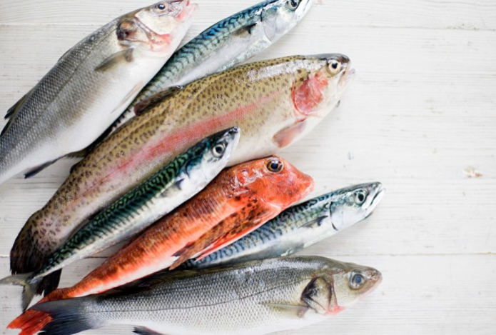 Содержит массу витамина D. Эта дешевая рыба в разы полезнее дорогой — вы будете удивлены