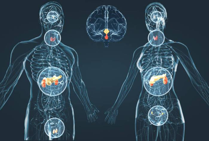 Какие гормоны нужно проверить в первую очередь