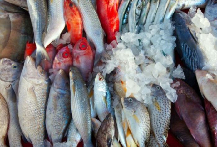 Эксперт назвал опасную для еды рыбу. Она накапливает ртуть и токсичные вещества