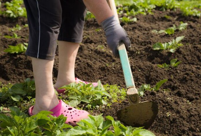 Дачникам раскрыли способы снизить риск инсульта