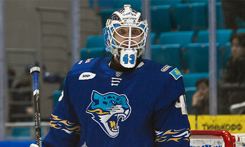 «Барыс» решил судьбу Андрея Шутова и сделал заявление