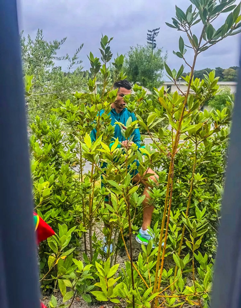 Поступок Криштиану Роналду показал его истинное лицо