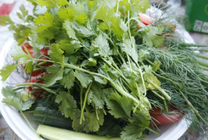 Названа самая вредная зелень — от нее следует отказаться. Она загрязнена выхлопными газами