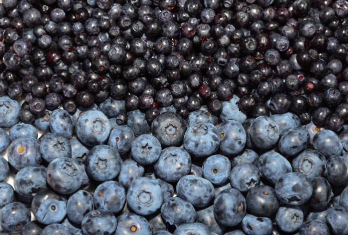 Эта уникальная ягода помогает от вирусов, омолаживает организм и запускает мозг