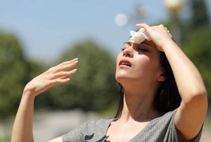 Исследователь из Гарварда выяснил, как жара влияет на мозг