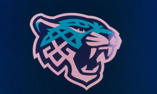 Представлен новый логотип «Снежных Барсов». Фото