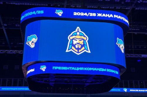 Фарм-клуб «Барыса» кардинально изменил свой логотип. Фото