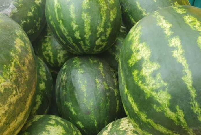 В какое время суток лучше всего есть арбуз