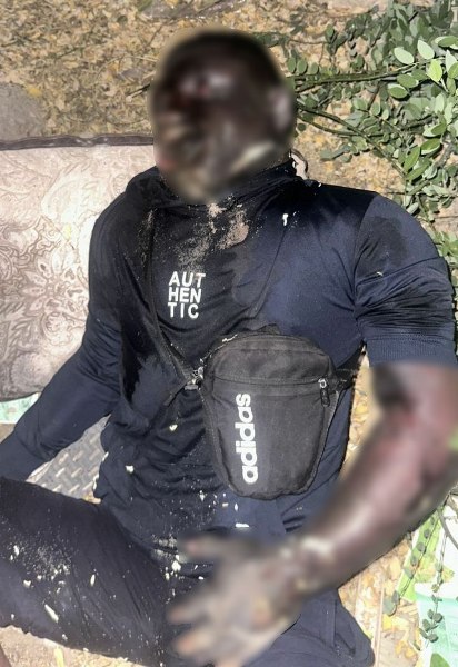 Тело бойца ММА обнаружили возле мусорных контейнеров в Казахстане