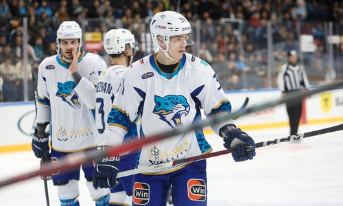 «Эх вы, физкультурники». Результат «зачистки» в «Барысе» оценили в России