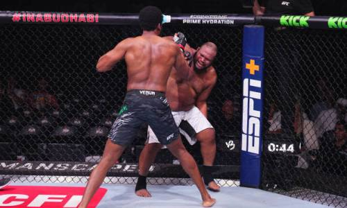 Жестоким избиением с нокаутом обернулся бой UFC. Видео